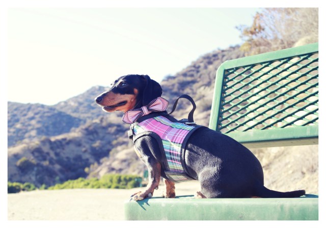 Emily | September 2013.  Photo by: Johnny Ortez-Tibbels ©