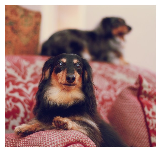 Jake | March 2013. Photo by: Johnny Ortez-Tibbels ©