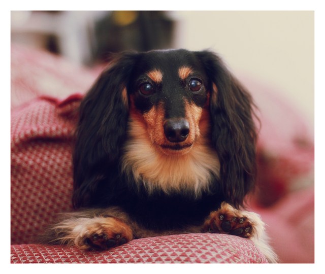 Jake | March 2013. Photo by: Johnny Ortez-Tibbels ©