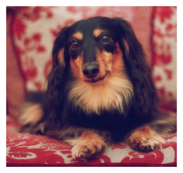 Jake | March 2013. Photo by: Johnny Ortez-Tibbels ©