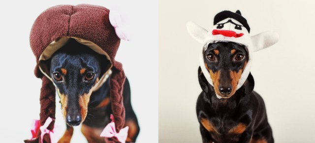 Emily | October 2013.  Photo by: Johnny Ortez-Tibbels ©