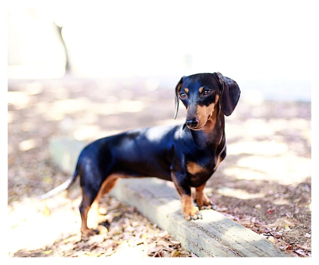 Emily Sue | October 2013.  Photo by: Johnny Ortez-Tibbels ©