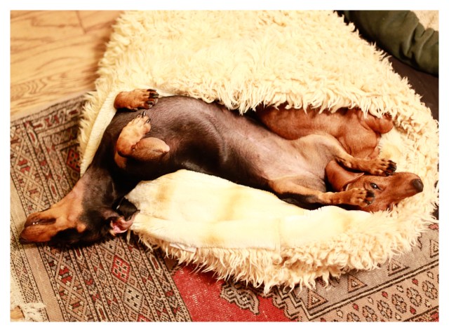 Emily & Lily | October 2013.  Photo by: Johnny Ortez-Tibbels ©