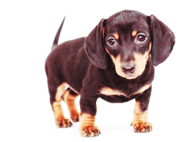 Emily | January 2012.  Photo by: Johnny Ortez-Tibbels ©