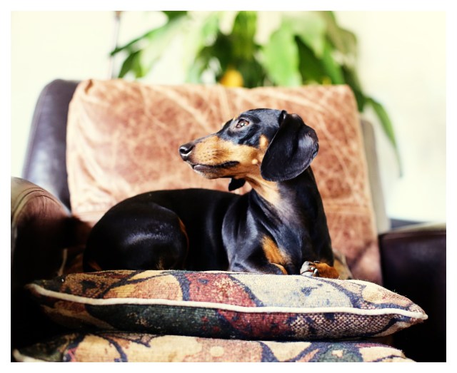 Emily | November 2013.  Photo by: Johnny Ortez-Tibbels ©