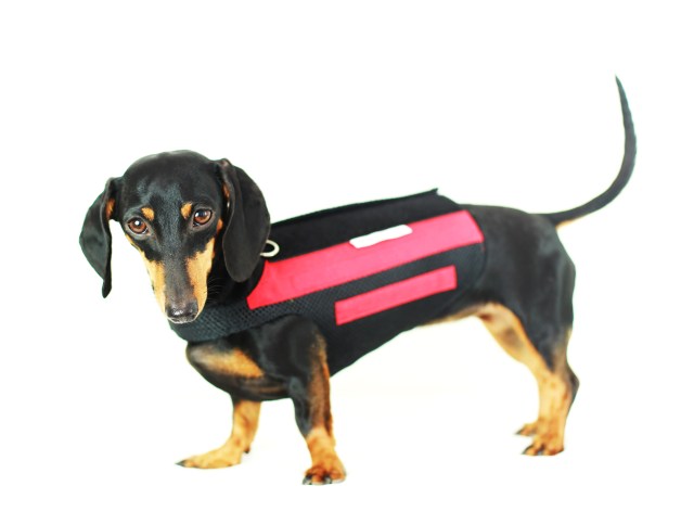 Emily | August 2013.  Photo by: Johnny Ortez-Tibbels ©