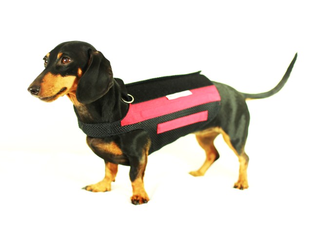 Emily | August 2013.  Photo by: Johnny Ortez-Tibbels ©