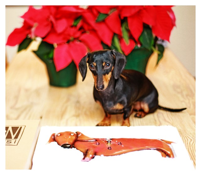 Emily | December 2013.  Photo by: Johnny Ortez-Tibbels ©