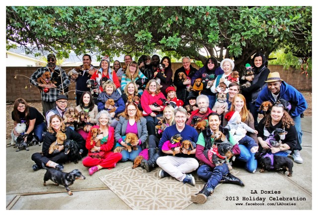 LA Doxies’ 8th Annual Holiday Celebration | December 2013.  