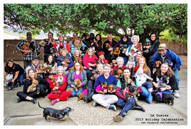 LA Doxies’ 8th Annual Holiday Celebration | December 2013.  