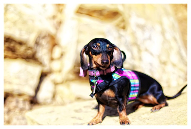 Emily | December 2013.  Photo by: Johnny Ortez-Tibbels ©