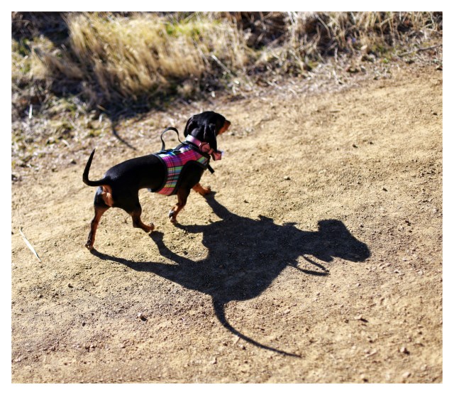 Emily | December 2013.  Photo by: Johnny Ortez-Tibbels ©