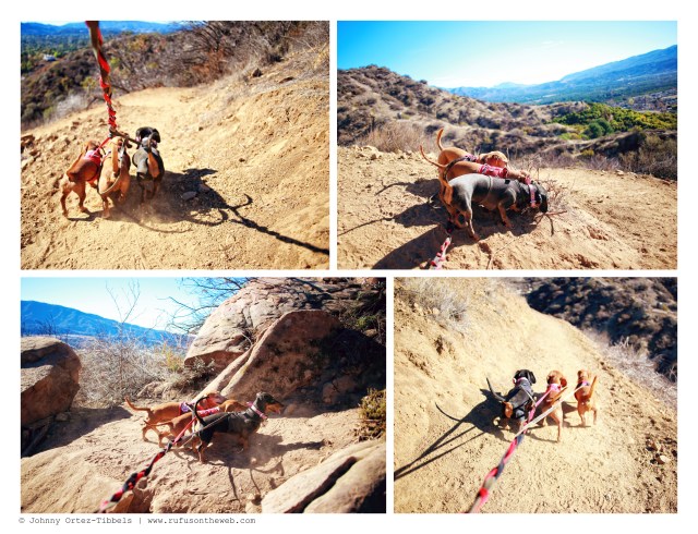 Emily, Rufus & Lily | January 2014. Photo by: Johnny Ortez-Tibbels ©