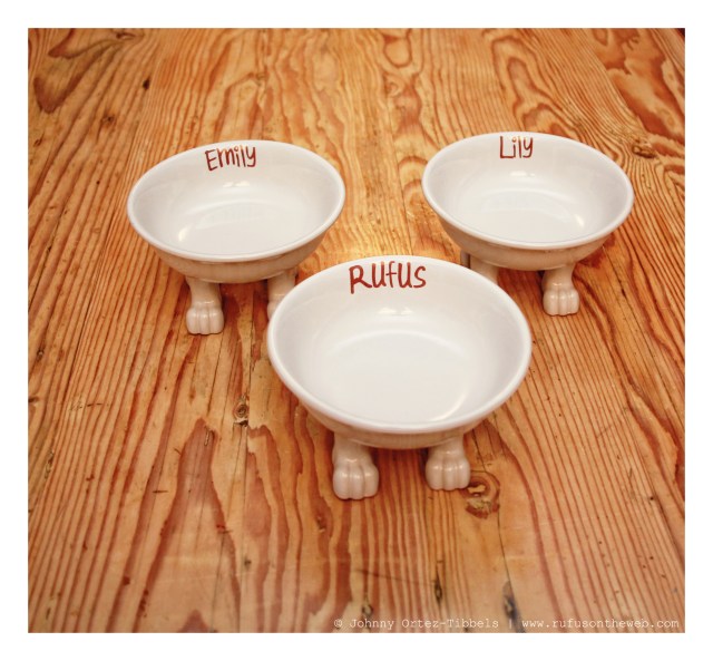 DK's Four Pawed Pet Bowls | January 2014. Photo by: Johnny Ortez-Tibbels ©