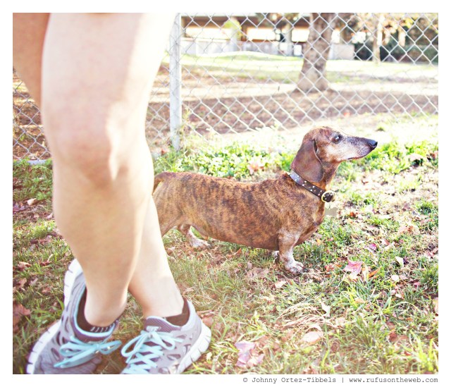 Hobbs | January 2014.  Photo by: Johnny Ortez-Tibbels ©