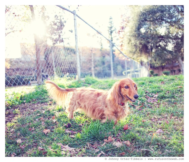 Spencer | January 2014.  Photo by: Johnny Ortez-Tibbels ©