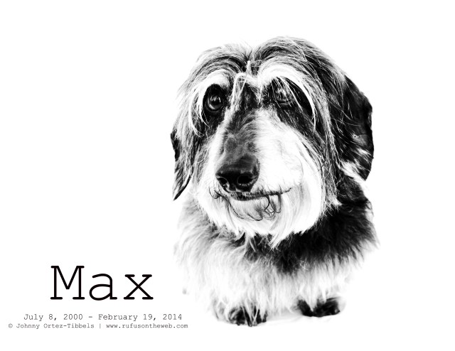Max | April 2011. Photo by: Johnny Ortez-Tibbels ©