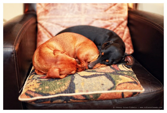 Lily & Emily | February 2014.  Photo by: Johnny Ortez-Tibbels ©