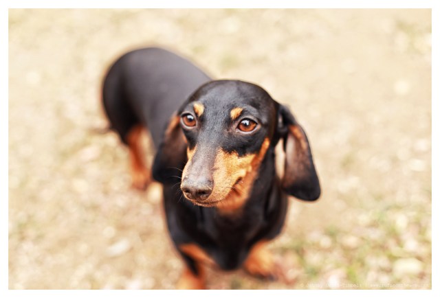 Emily | February 2014.  Photo by: Johnny Ortez-Tibbels ©