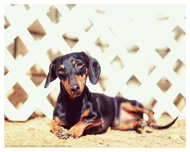 Emily | February 2014. Photo by: Johnny Ortez-Tibbels ©