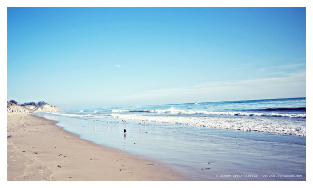 Emily | February 2014.  Photo by: Johnny Ortez-Tibbels ©