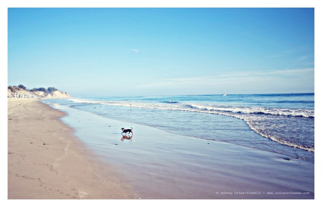 Emily | February 2014.  Photo by: Johnny Ortez-Tibbels ©