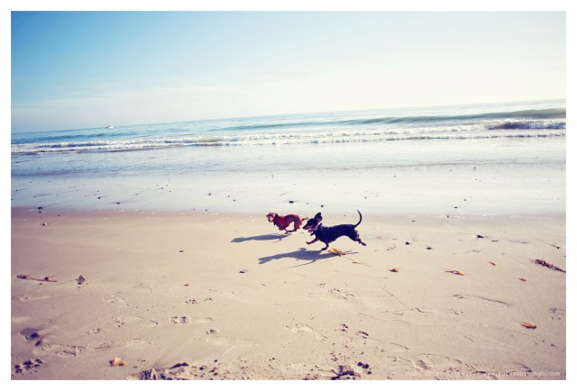 Emily & Lily | February 2014.  Photo by: Johnny Ortez-Tibbels ©