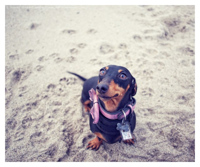 Emily | January 2014.  Photo by: Johnny Ortez-Tibbels ©