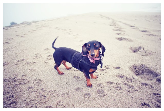 Emily | January 2014.  Photo by: Johnny Ortez-Tibbels ©