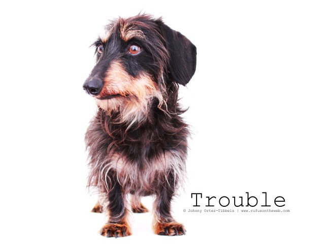 Trouble 2011 | Photo by: Johnny Ortez-Tibbels ©