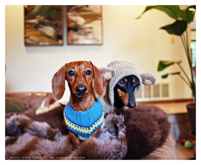 Lily & Emily | March 2014.  Photo by: Johnny Ortez-Tibbels ©
