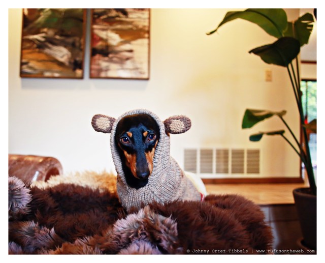 Emily | March 2014.  Photo by: Johnny Ortez-Tibbels ©