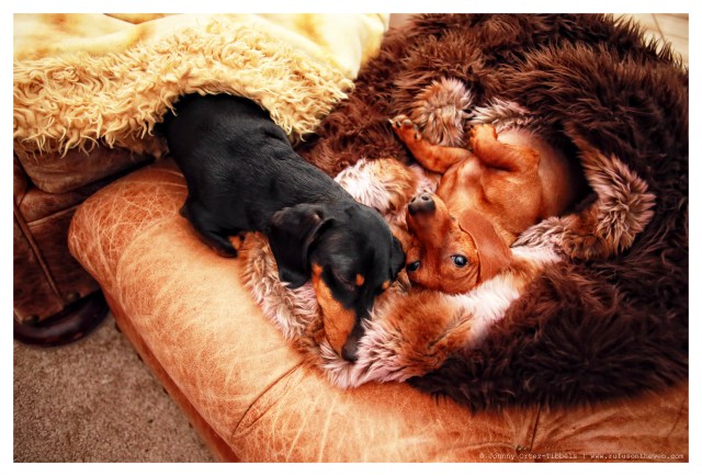 Emily & Lily | March 2014.  Photo by: Johnny Ortez-Tibbels ©