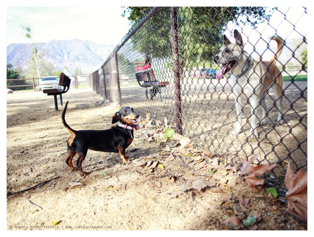 Emily | March 2014.  Photo by: Johnny Ortez-Tibbels ©