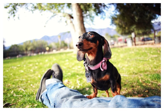 Emily | March 2014. Photo by: Johnny Ortez-Tibbels ©