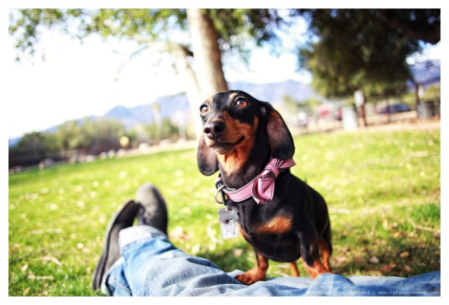 Emily | March 2014. Photo by: Johnny Ortez-Tibbels ©