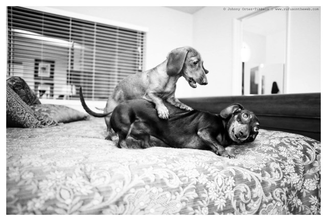 Emily & Lily | March 2014. Photo by: Johnny Ortez-Tibbels ©
