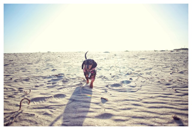 Emily | March 2014. Photo by: Johnny Ortez-Tibbels ©