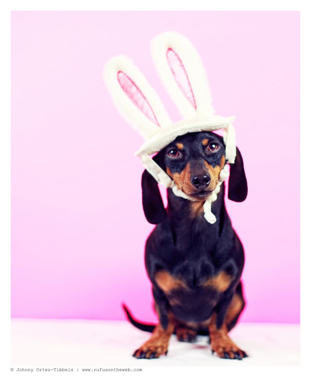 Emily | April 2014.  Photo by: Johnny Ortez-Tibbels ©