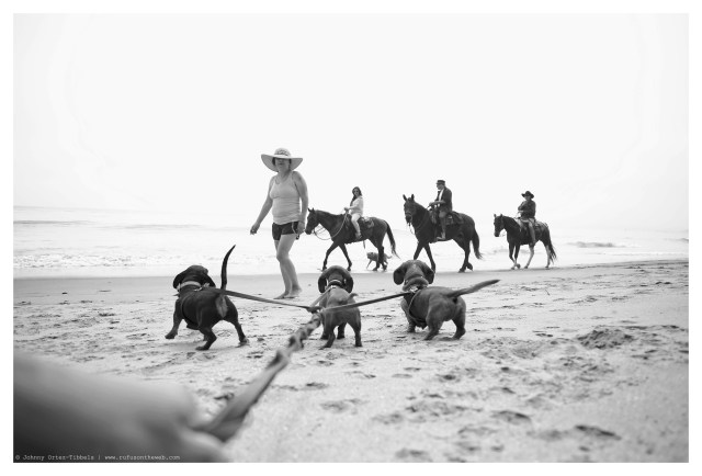 Emily, Lily & Rufus | April 2014.  Photo by: Johnny Ortez-Tibbels ©
