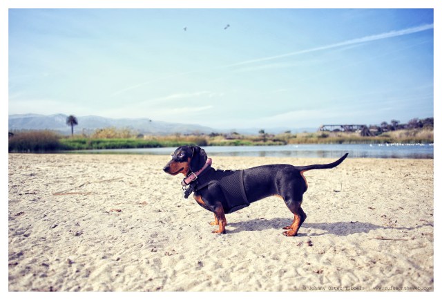Emily | April 2014.  Photo by: Johnny Ortez-Tibbels ©