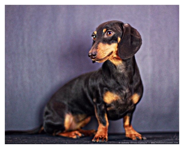 Emily Sue | February 2013.  Photo by: Johnny Ortez-Tibbels ©