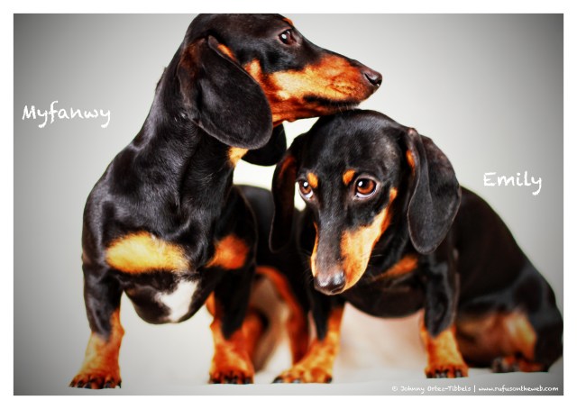 Myfanwy & Emily | July 2012.  Photo by: Johnny Ortez-Tibbels ©