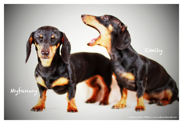 Myfanwy & Emily | July 2012.  Photo by: Johnny Ortez-Tibbels ©