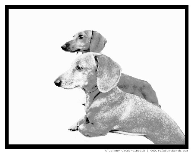 2011. Photo by: Johnny Ortez-Tibbels ©