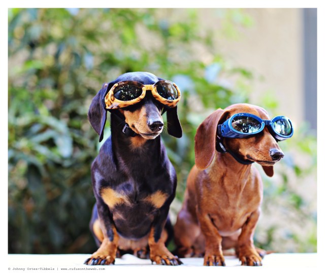 Emily & Lily | May 2014.  Photo by: Johnny Ortez-Tibbels ©