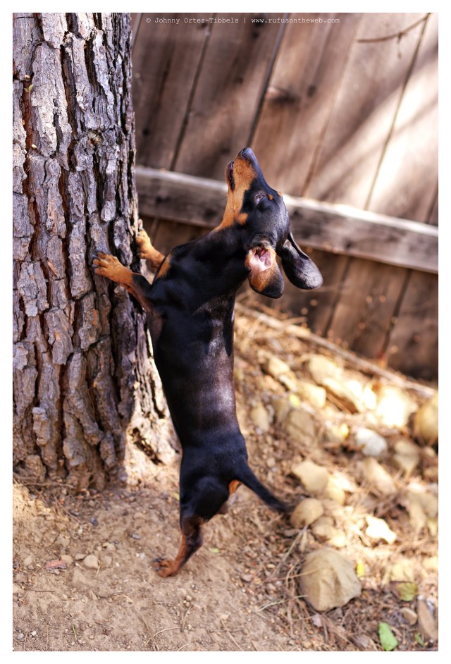 Emily | May 2014.  Photo by: Johnny Ortez-Tibbels ©