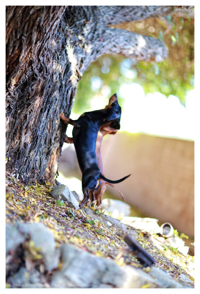Emily & Lily | May 2014.  Photo by: Johnny Ortez-Tibbels ©