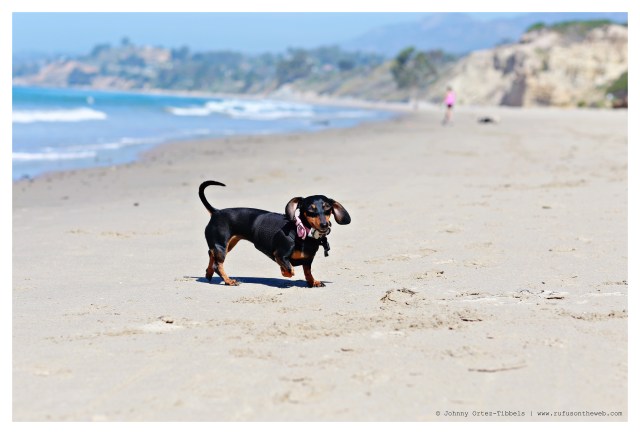 Emily | May 2014.  Photo by: Johnny Ortez-Tibbels ©
