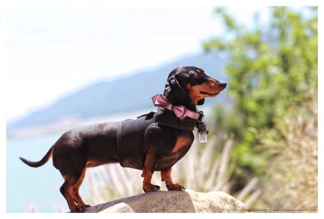 Emily | May 2014. Photo by: Johnny Ortez-Tibbels ©